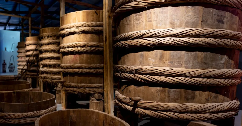 découvrez tout sur la fermentation, un processus naturel qui transforme les aliments et boissons grâce à l'action des micro-organismes, améliorant goût, conservation et bienfaits nutritionnels.