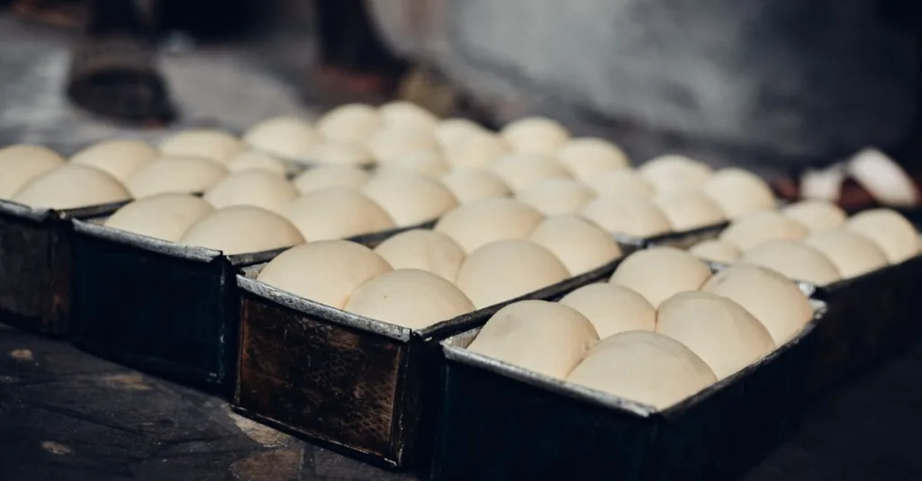 découvrez tout sur la levure : définition, types, utilisations en cuisine et en biotechnologie, ainsi que ses bienfaits pour la santé.