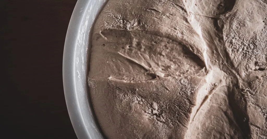 découvrez tout sur la levure : ses types, utilisations en cuisine et en fermentation, ainsi que ses bienfaits pour la santé.